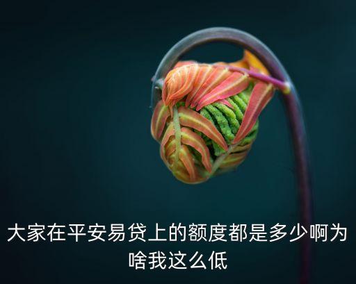 平安i貸額度怎么那么低，我的平安i貸只有1300的額度用不了怎么提高啊