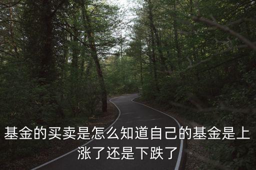 基金的買賣是怎么知道自己的基金是上漲了還是下跌了