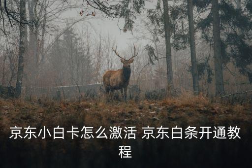 京東小白卡怎么激活的，京東小白卡怎么激活 京東白條開(kāi)通教程