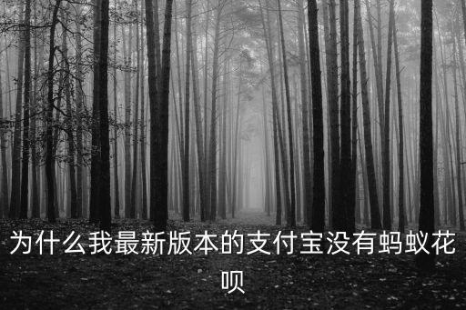 為什么我最新版本的支付寶沒有螞蟻花唄
