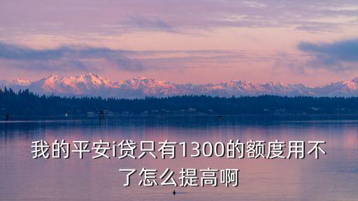 我的平安i貸只有1300的額度用不了怎么提高啊