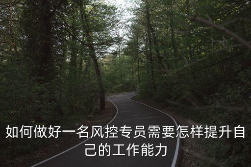 如何做好一名風(fēng)控專員需要怎樣提升自己的工作能力