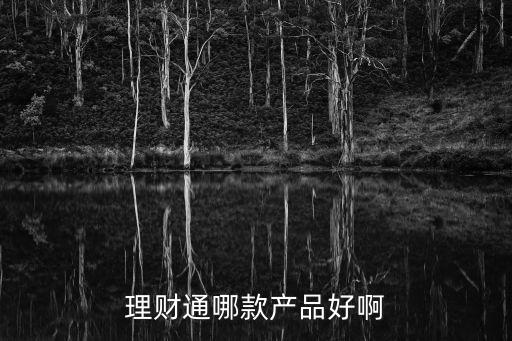 理財(cái)通怎么選擇，理財(cái)通哪款產(chǎn)品好啊