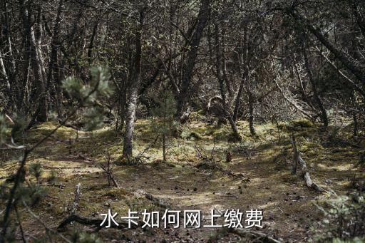 呼市有水卡怎么交水費(fèi)，怎么交水費(fèi)