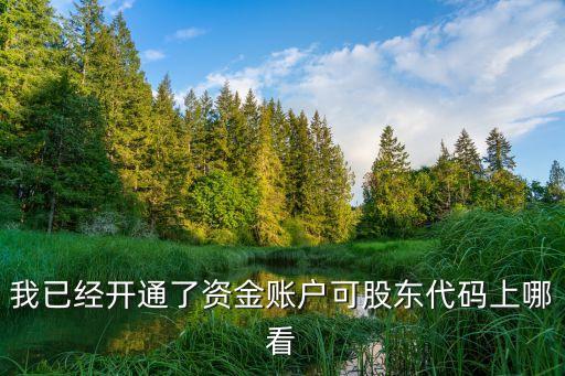 我已經(jīng)開通了資金賬戶可股東代碼上哪看