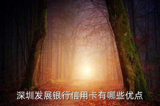 深圳發(fā)展銀行信用卡怎么樣，深圳發(fā)展銀行的信用卡如何