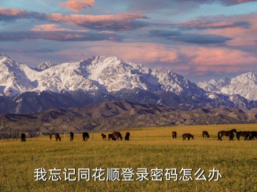 同花順忘記密碼怎么辦，我忘記同花順登錄密碼怎么辦