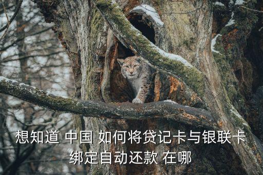 房貸的卡怎么和其他卡綁定，申請我來貸的貸款但本人只有農(nóng)行卡怎么辦可以用不是本人身份證