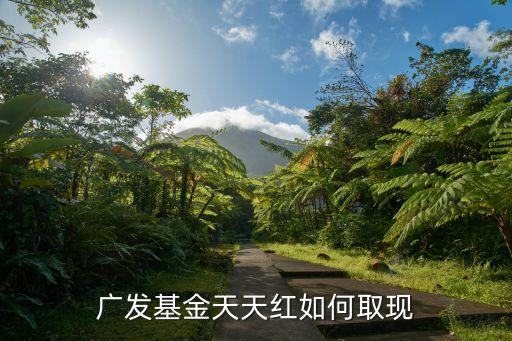 廣發(fā)卡基金怎么取出來，買了110元的廣發(fā)基金天天紅如何把錢取出來