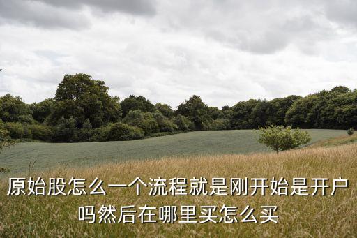 原始股怎么一個流程就是剛開始是開戶嗎然后在哪里買怎么買
