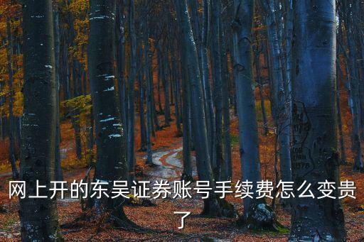 東吳證券手續(xù)費(fèi)怎么改，網(wǎng)上開的東吳證券賬號(hào)手續(xù)費(fèi)怎么變貴了