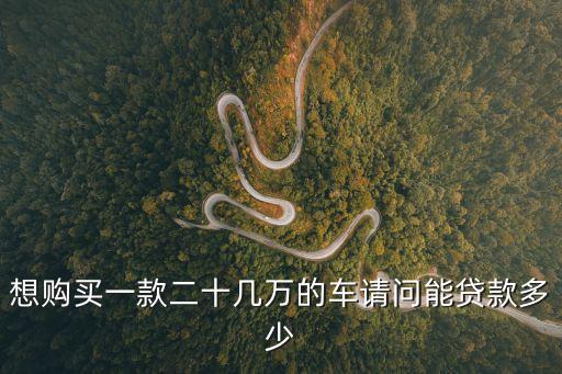 想購買一款二十幾萬的車請問能貸款多少