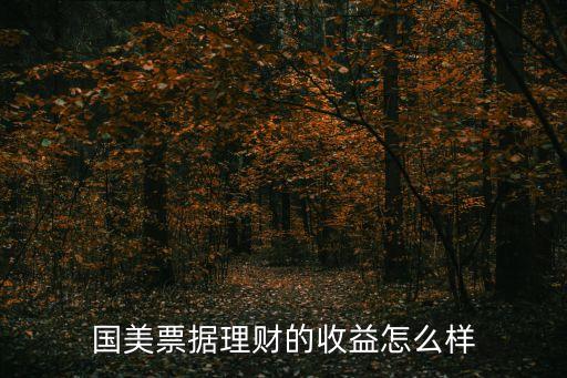 國美理財怎么樣，國美金融理財怎么樣
