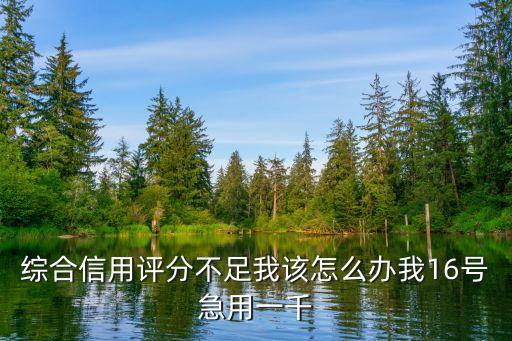 綜合評分不足怎么辦，加入誠信計劃 綜合評分不夠 怎么解決