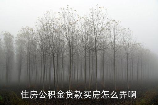 怎么才能有房屋公積金貸款買房，房屋公積金如何申請(qǐng)貸款買房