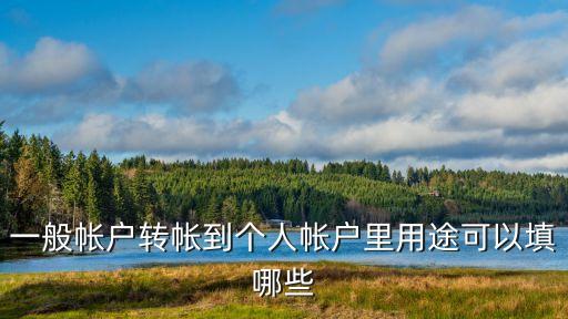 公戶轉(zhuǎn)賬私人賬戶用途怎么填，從對公賬戶上把錢轉(zhuǎn)到個人賬戶哪些用途是可以這樣做的