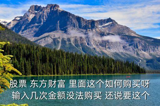 東方匯理財怎么買，東方市場我是930元買進的現(xiàn)在55元我不知下一步怎操作請教