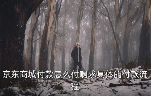 京東怎么付買東西，京東商城付款怎么付啊求具體的付款流程