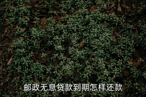 郵政無(wú)息貸款到期怎樣還款