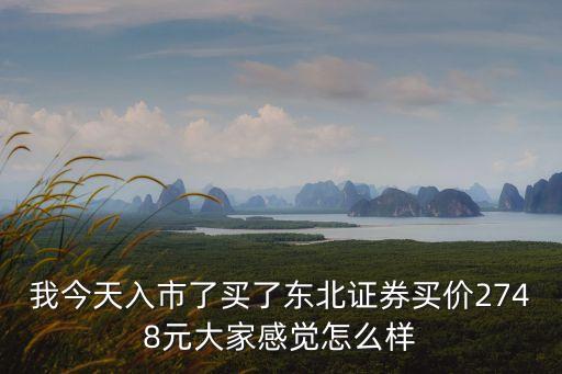 東北證券股票怎么樣，東北證券怎么樣