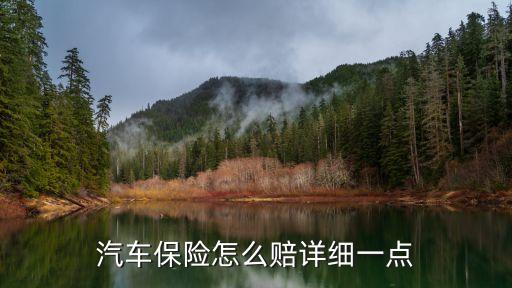 汽車保險(xiǎn)怎么賠詳細(xì)一點(diǎn)