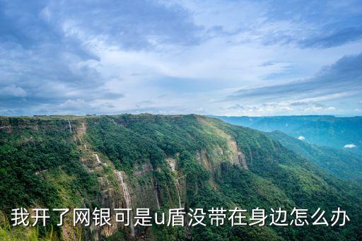 我開了網(wǎng)銀可是u盾沒帶在身邊怎么辦