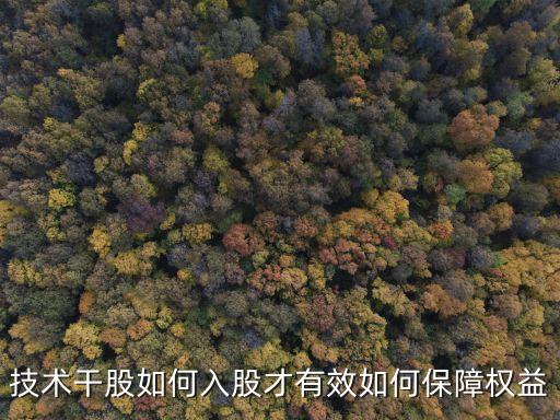 技術(shù)干股如何入股才有效如何保障權(quán)益