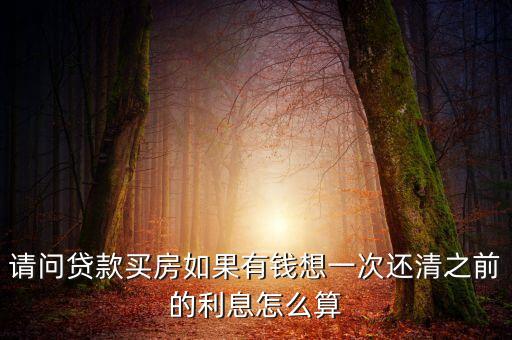 買房一次付清怎么算，房貸可以一次付清嗎一次付清的利息怎么算