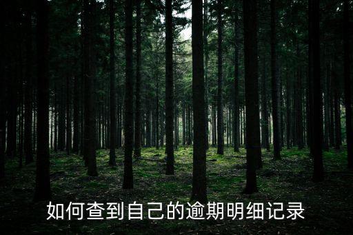 如何查到自己的逾期明細(xì)記錄