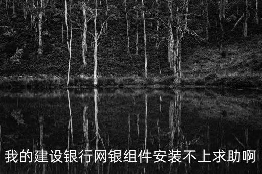 建行網(wǎng)上銀行安裝不了怎么辦理，我的建設(shè)銀行網(wǎng)銀組件安裝不上求助啊
