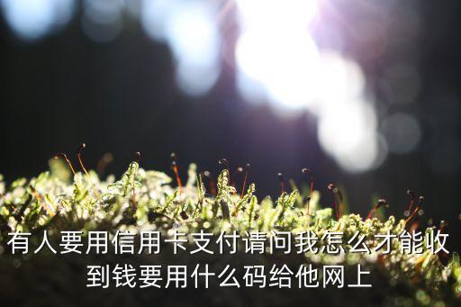 微信信用卡收款怎么收，有人要用信用卡支付請問我怎么才能收到錢要用什么碼給他網(wǎng)上