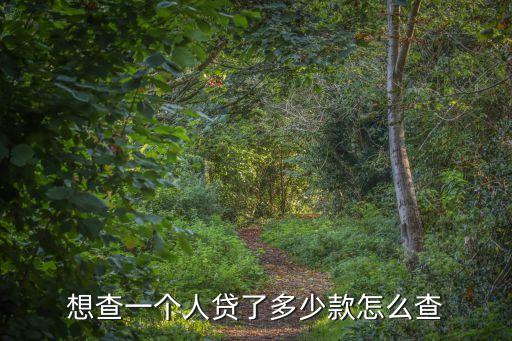 想查一個(gè)人貸了多少款怎么查