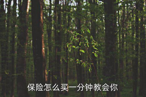 保險怎么買一分鐘教會你