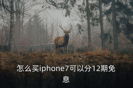 怎么買iphone7可以分12期免息