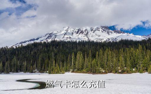 燃氣卡怎么充值