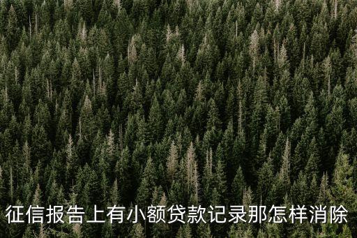 征信小貸太多怎么消除，征信報(bào)告上有小額貸款記錄那怎樣消除那如果拉入黑名單了呢