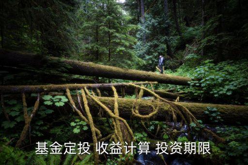 投資期限怎么算的，有關投資期值的計算