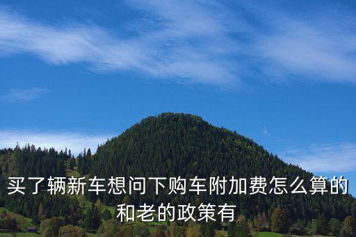 買了輛新車想問下購車附加費怎么算的和老的政策有