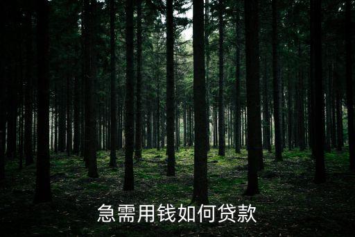 急需用錢如何貸款