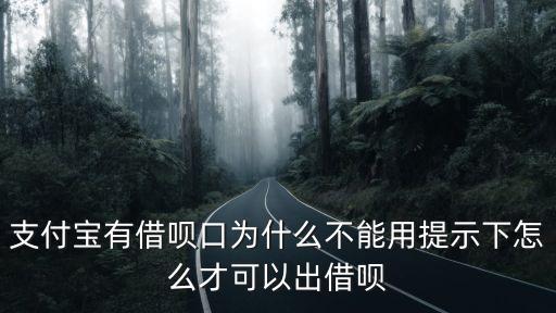 支付寶有借唄口為什么不能用提示下怎么才可以出借唄