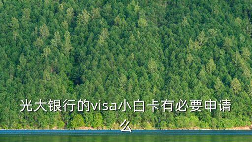 光大銀行的visa小白卡有必要申請么