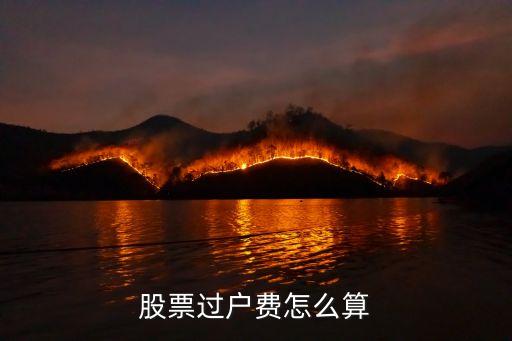 股票的過戶費怎么算，股票過戶費怎么計算