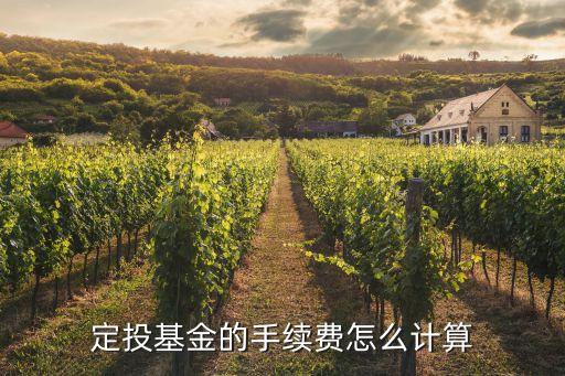 定投基金的手續(xù)費怎么計算