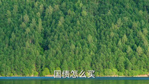 國債怎么買