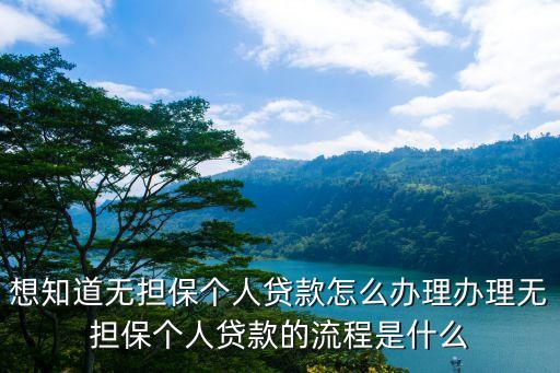 想知道無擔(dān)保個人貸款怎么辦理辦理無擔(dān)保個人貸款的流程是什么
