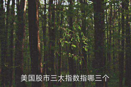 美國股市三大指數(shù)指哪三個