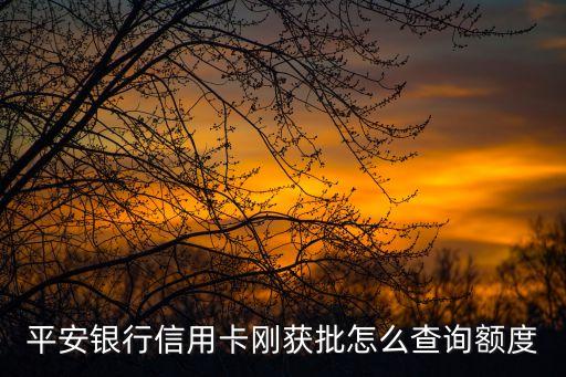 平安授信額度怎么查詢，收到平安銀行信用卡如何查詢額度