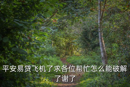 平安易貸飛機了求各位幫忙怎么能破解了謝了