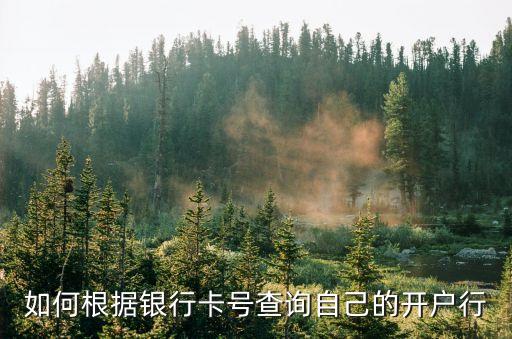 銀行卡號怎么查發(fā)卡行，如何根據(jù)銀行卡號查詢自己的開戶行