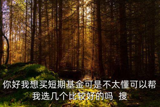 你好我想買短期基金可是不太懂可以幫我選幾個比較好的嗎  搜